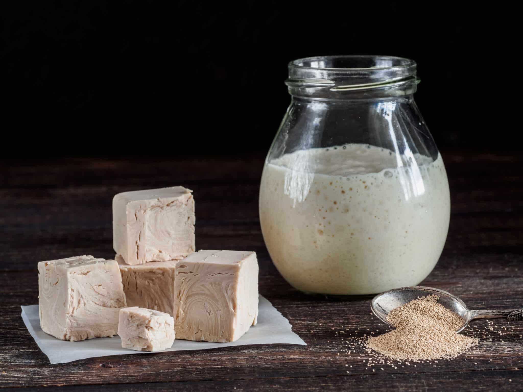 Block Yeast Sourdough Dry Yeast