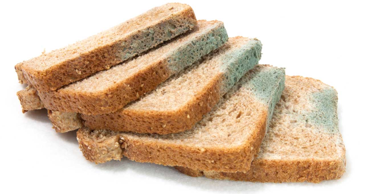 Mouldy Sliced Bread