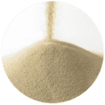 Dry Yeast