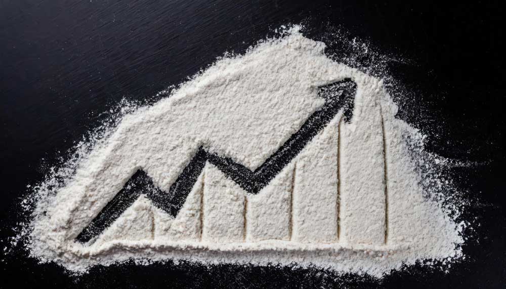 Flour Analysis Service Lesaffre