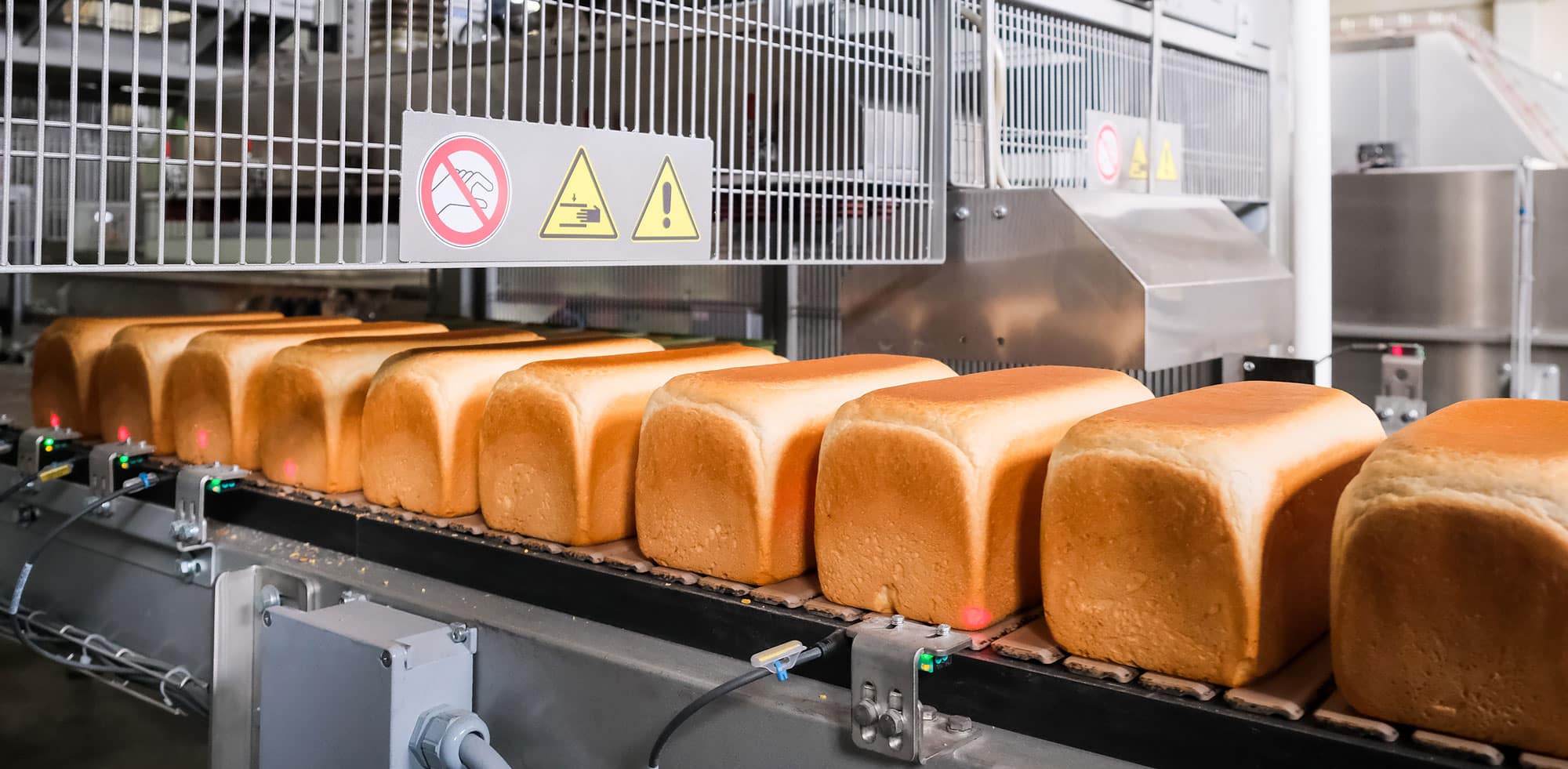 Bread Dough Fermentation Control