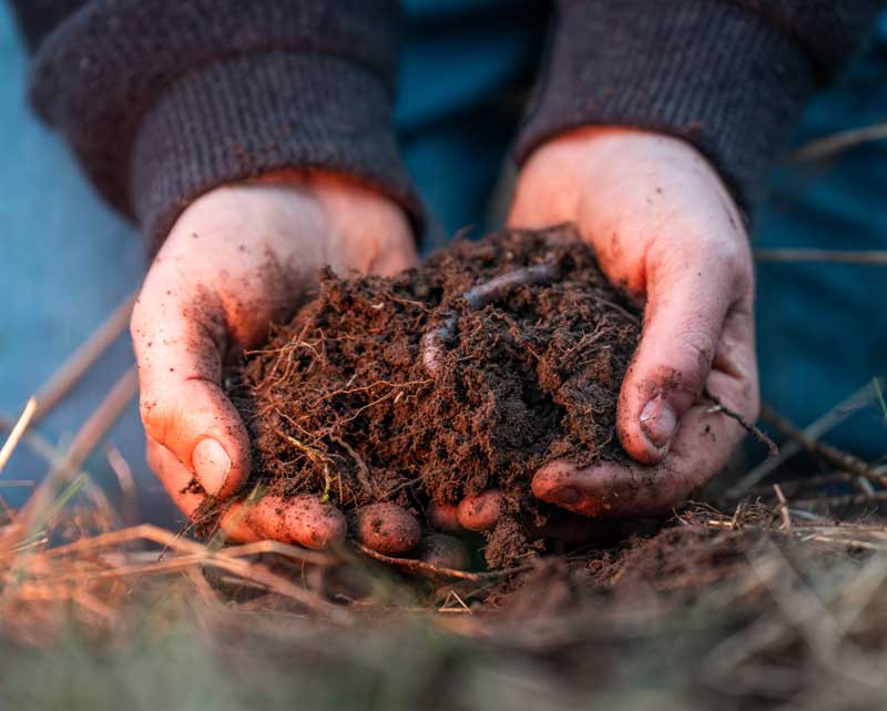 Regenerative Farming